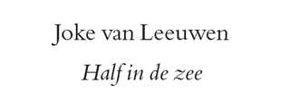 Half in de zee